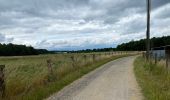 Randonnée Marche Oud-Heverlee - Zoet 12 km - Photo 3