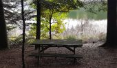 Tour Wandern Badenweiler - Tour du lac de Pierre-Percée depuis les cabanes du lac - Photo 11