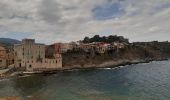 Excursión Senderismo Port-Vendres - port vendres . l ouille / retour  - Photo 10