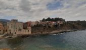 Tour Wandern Port-Vendres - port vendres . l ouille / retour  - Photo 10