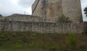 Tocht Stappen Le Thor - Château de Thouzon  - Photo 1