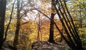 Tocht Stappen Cernay-la-Ville - Les Vaux de Cernay - Photo 4