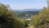 Trail Walking Montjoyer - Montjoyer les Eoliennes 7km5 - Photo 1