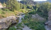 Tour Wandern Saint-Étienne-Vallée-Française - Etape 10 St Étienne vallée française/St Jean du gard  - Photo 10