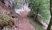 Trail Walking Ouhans - RANDONNEE A LA SOURCE DE LA LOUE - Photo 18