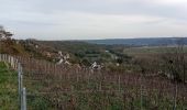 Trail Walking Crouttes-sur-Marne - Crouttes-sur-Marne du 13-02-2022 - Photo 1