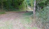 Tour Wandern Tauxigny-Saint-Bauld - Saint-Bauld - La Vallée de l'Echandon - 16.4km 170m 3h35 - 2020 09 26 - Photo 4