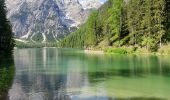 Trail Walking Prags - Braies - lac de braies 1112m 20kms  - Photo 17
