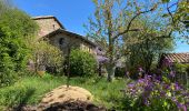 Randonnée Marche Fabras - Fabras Jaujac les orgues basaltiques  - Photo 12