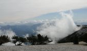 Tour Wandern Bédoin - les glacières par le sommet du ventoux - Photo 12