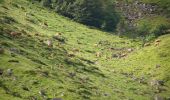 Tour Wandern Cauterets - Lac d'Ilhéou ou Lac Bleu - Photo 4