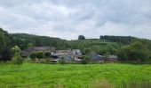 Trail Walking Houffalize - Cetturu 300725 - Photo 12