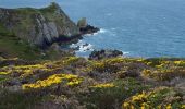 Trail Walking Crozon - pointe des Espagnols  - Photo 1