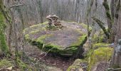 Tour Wandern Mancey - col des chèvres FR - Photo 2