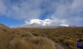 Tocht Stappen San Andrés - trek Equateur jour 2 - Photo 1