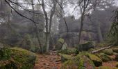 Excursión Paseo ecuestre Aubure - 2019-11-03 WE Aubure Taennchel - Photo 2