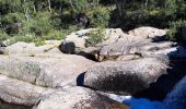 Tocht Stappen Pont de Montvert - Sud Mont Lozère - T-Le Merlet - Photo 4