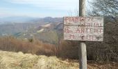 Tocht Trail Borgo Valbelluna - malga Garda - Photo 1