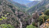 Tocht Stappen Prévenchères - la gare de Guérin gorges du Chassezac - Photo 8