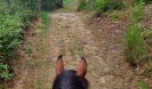 Trail Horseback riding Saint-Victor - petit tour le soleil - Photo 18