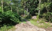 Excursión Senderismo La Roche-en-Ardenne - promenade 4 et 5 pour le groupe du jeudi - Photo 2