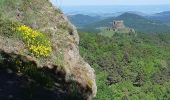 Tour Wandern Murol - AUTOUR DU LAC CHAMBON  - Photo 8