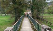 Trail Walking Bouillon - Poupehan - Frahan - Photo 5