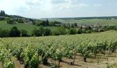 Excursión Senderismo Vallées-en-Champagne - la Chapelle Monthodon du 07/06/2023 - Photo 1