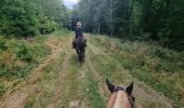 Trail Horseback riding Celles-sur-Plaine - randonnée Celles-sur-Plaine direction Cirey-sur-Vezouze  - Photo 8