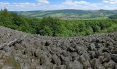 Tour Zu Fuß Ehrenberg - Reulbach Rundwanderweg 12 - Photo 1