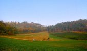 Trail On foot Pianello Val Tidone - Chiarone - Rio Tinello - Rocca d'Olgisio - Chiarone - Photo 5