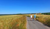 Excursión Senderismo Beauraing - Balade de Dion à Winenne - Beauraing - Photo 11