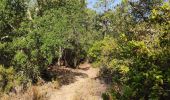 Excursión Senderismo La Garde-Freinet - Boucle Garde-Freinet - Serre-Long - Photo 4