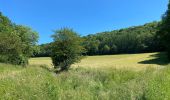 Tour Wandern Rochefort - Wavrielle  12-06-20 - Photo 9