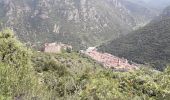 Excursión Senderismo Villefranche-de-Conflent - Boucle Volta - Photo 2