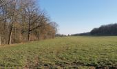 Percorso Marcia Assesse - Sart Bernard - Andenne Rando 18 - Photo 12