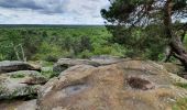 Tocht Stappen Fontainebleau - Fontainebleau Circuit PR Sentier Denecourt 5 - Photo 4