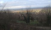 Randonnée Marche Montigny-lès-Arsures - Montigny les Arsures - Photo 3