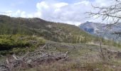 Randonnée Marche Risoul - plan de phazy par la forêt de risoul en boucle - Photo 1