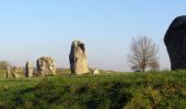 Randonnée A pied Unknown - Avebury Archaeology Walk - Photo 8