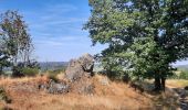 Tocht Stappen Trois-Ponts - GR 14 BASSE-BODEUX - BANEUX TABLE D'ORIENTATION  - Photo 2