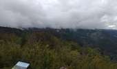 Trail Walking Septmoncel les Molunes - clavières (haut jura) - Photo 13