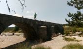 Trail Walking Vialas - Mas de la Barque - Pic Cassini - Pont du Tarn - Photo 3