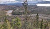 Randonnée Marche Lac-Matapédia - Les crêtes  - Photo 2