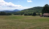Tour Wandern Schönenberg - Tour du Champ du Feu - Photo 18