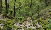 Trail Walking Foncine-le-Bas - Autour de la cascade du Bief de la Ruine 🥾 - Photo 3