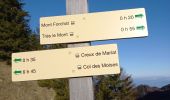 Trail Walking Habère-Poche - Le mont forchat  - Photo 12
