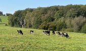 Randonnée Marche Chimay - Chimay - abbaye 29 km - Photo 19