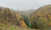 Tour Wandern Ferrières - Vieuxville - Photo 15