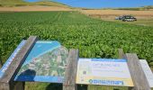 Excursión Senderismo Escalles - ⛺️ Les Érables - Cap Blanc-Nez  - Photo 11